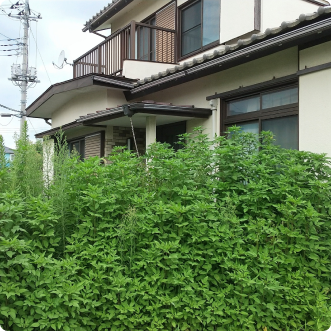 事故物件のイメージ